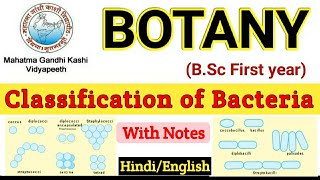 Classification of Bacteria on the Basis of Shape and Morphology  Classification of Bacteria [upl. by Adnohs]