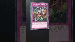 Traptrix trap hole nightmare yugioh yugiohcommunity yugiohcards yugiohtcg traptrix [upl. by Rehtaef169]