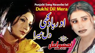 O Raba Dukhi Dil Mera Punjabi Sad Song Naseebo lal [upl. by Bernetta]