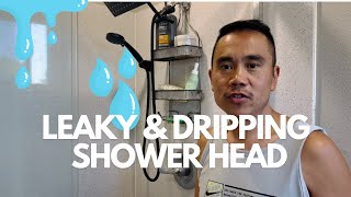 How To Fix A Dripping And Leaky Shower Head  Delta shower cartridge replacement [upl. by Hesta]