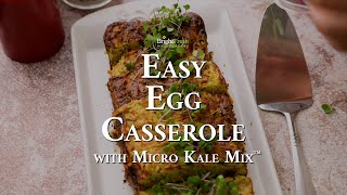 Fuel Up Your Mornings with Easy Egg Casserole  BrightFresh® Kale Mix™⁠ Recipe for AllDay Energy 🍳 [upl. by Iong]