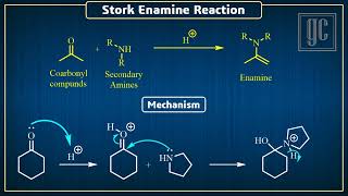 Stork Enamine Reaction Name reactionsSeriesGC [upl. by Riker]