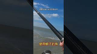 大家注意看 這男人太狠了釣魚山狗大shorts午仔魚遠投沉底 fishing [upl. by Lorain407]