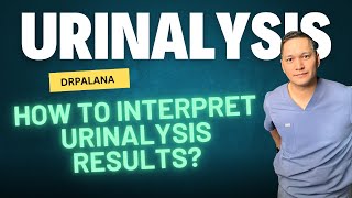 How To Interpret Urinalysis Results usmle medschool medicine [upl. by Normalie758]