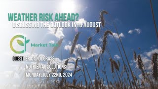 Weather Risk Ahead for Soybeans and Spring Wheat [upl. by Kalagher]