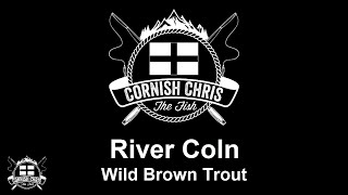 Trout Fly Fishing  River Coln  Whelford  April 2022 [upl. by Jaehne234]