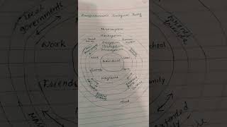 Bronfenbrenners Ecological Theory ctet ctetexam ctet2024 shorts youtubeshortsyoutubeshorts [upl. by Enelehs]