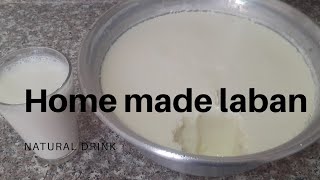 Fast way of making healthy home made milk Laban [upl. by Pascale]