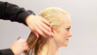 Aveda HowTo  Everyday Body amp Increased Volume for Fine Hair [upl. by Leuqram927]