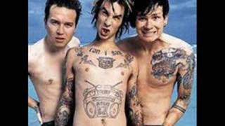 Blink 182 family reunion [upl. by Atiugram483]