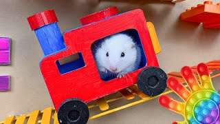 😱 Hamster Escape Maze  Hamster Cute pets Maze hamsterescape mazediytraps hamsterescape 197 [upl. by Fen473]