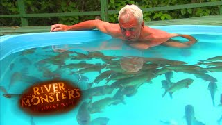 Swimming With Red Belly Piranhas In A Pool  PIRANHA  River Monsters [upl. by Magee359]