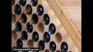 Watch How To Make Homemade Wine From Chilean Merlot Grapes [upl. by Yorle]