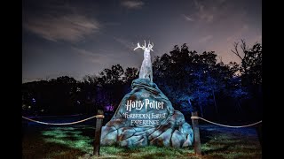 Harry Potter  A Forbidden Forest Experience Austin  Tx 1192024 [upl. by Seilenna]