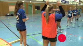 Sport im Fokus Training exekutiver Funktionen und der Selbstregulation im Handball [upl. by Alba]