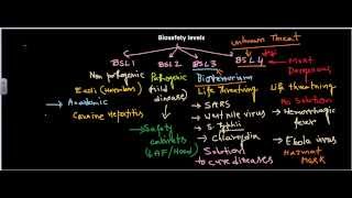 Biosafety levels [upl. by Nylzaj]