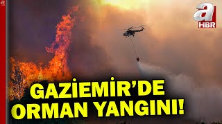 İzmir Gaziemirde çıkan orman yangınına havadan ve karadan müdahale  A Haber [upl. by Snave923]