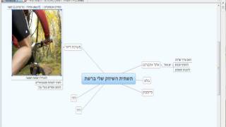 Xmind tutorial [upl. by Marba]