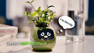 Smart Planter With Emotions Tells You What Your Plant Needs  PlantsIO Ivy [upl. by Darnell]