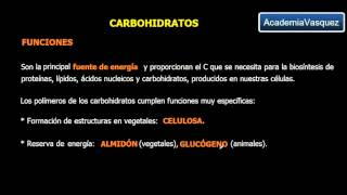 Carbohidratos Características y Clasificación [upl. by Akkeber]