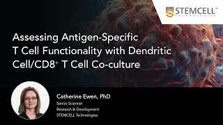 Assessing AntigenSpecific TCell Functionality with Dendritic CellCD8⁺ T Cell Coculture [upl. by Burl460]