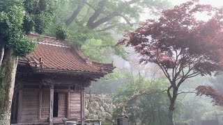 SHIKOKU 88 TEMPLES long version [upl. by Lundin]