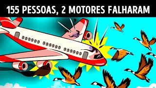 Um Milagre que Salvou 155 Pessoas Quando os Pássaros Arruinaram os Motores de um Avião [upl. by Michelina]