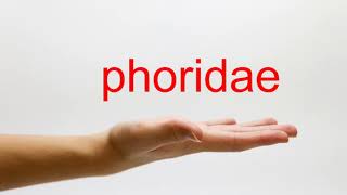 How to Pronounce phoridae  American English [upl. by Zsazsa]