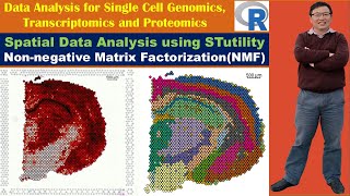 Spatial Data Analysis using STutility Nonnegative Matrix Factorization NMF [upl. by Yllitnahc937]