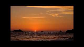 SUNDOWN Gordon Lightfoot with lyrics [upl. by Annoirb]