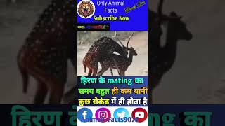 Deer 🦌 बारे में रोचक तथ्य 🥶ytshort viral fact animals trending shortfeed [upl. by Levina573]