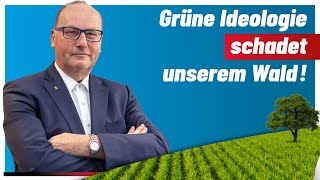 Grüne Ideologie schadet unserem Wald Norbert Mayer AfD zerlegt Valentin von den Grünen [upl. by Nalahs145]