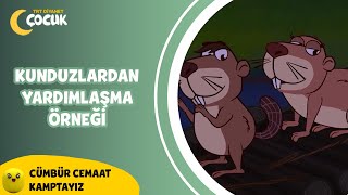 Kunduzların Yardımlaşma Örneği  Cümbür Cemaat Kamptayız [upl. by Maura122]