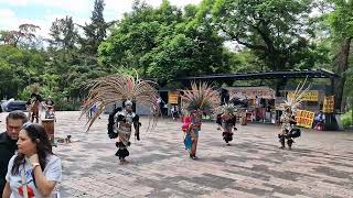 Danza prehispanica Museo de antropología e Historia  CDMX 2024 [upl. by Polito]