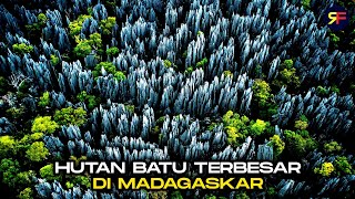 TSINGY DE BEMARAHA  HUTAN BATU TERBESAR DI MADAGASKAR [upl. by Llenrub]