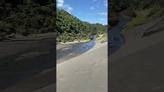 Bethells Beach Sand Dunes [upl. by Athalla]