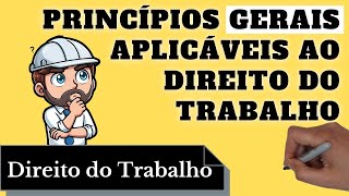 Princípios Gerais Aplicáveis ao Direito do Trabalho Resumo Completo [upl. by Eeuqram]