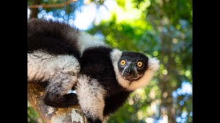 Viaggio a NosyBe Madagascar [upl. by Aimek]