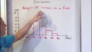 Lesson 8  What is a Histogram in Statistics [upl. by Vassar977]