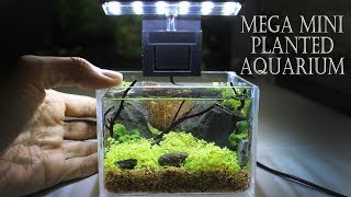 DIY Smallest Mini Planted Aquarium  Plexiglass Aquarium [upl. by Nathanil923]