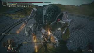 ELDEN RING  Grafted Scion Boss fight NG10 [upl. by Krum]