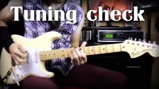 Fender Yngwie Malmsteen TUNING TEST VIBRATO RAPING [upl. by Mauldon]