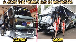 8 Jenis BUS Mewah SHD Double Glass TERGAGAH di Indonesia [upl. by Manly]