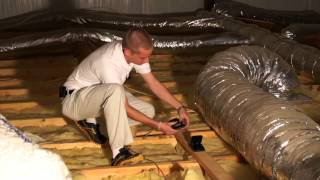 How To Get Rid Of Rodents In The Attic Pest Products Online [upl. by Eelnayr347]