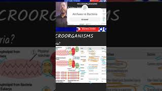 Archaea vs Bacteria [upl. by Notle]
