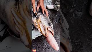 RARE amp ICONIC Bahaba Fish Cutting in Bustling chinese Street short cutting fishmarket viral [upl. by Curr630]