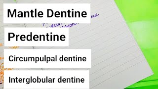 Mantle dentinePredentine Circumpulpal dentine interglobular dentine [upl. by Eixela]