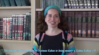 Thoughts on Parashat Naso  Erin Leib Smokler [upl. by Iem345]