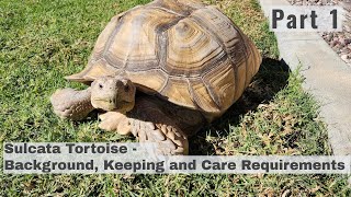 SULCATA Tortoise Part 1  Background Care Requirements Behavior Health amp TO DO [upl. by Odilo]