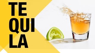 5 TEQUILAS que você TEM que beber [upl. by Leela]